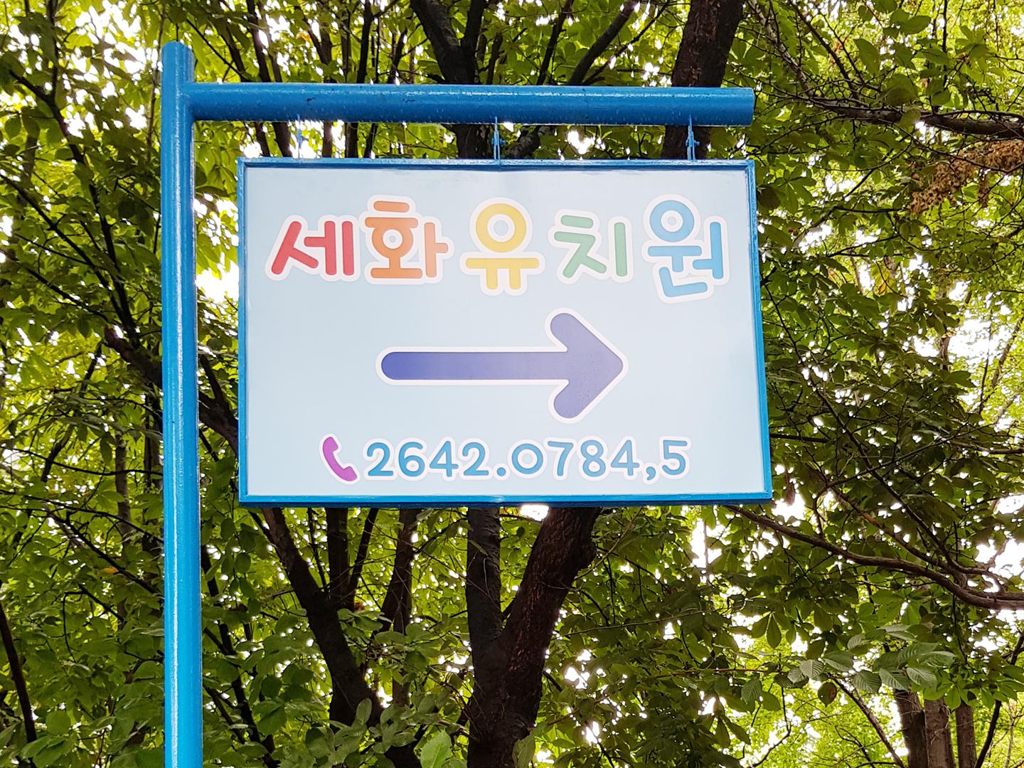 세화유치원