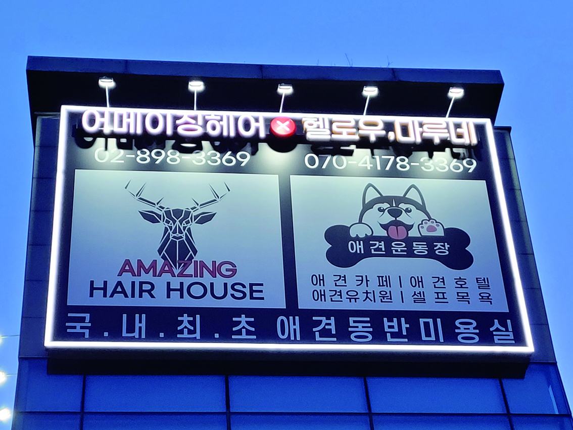 어메이징헤어_사진3장