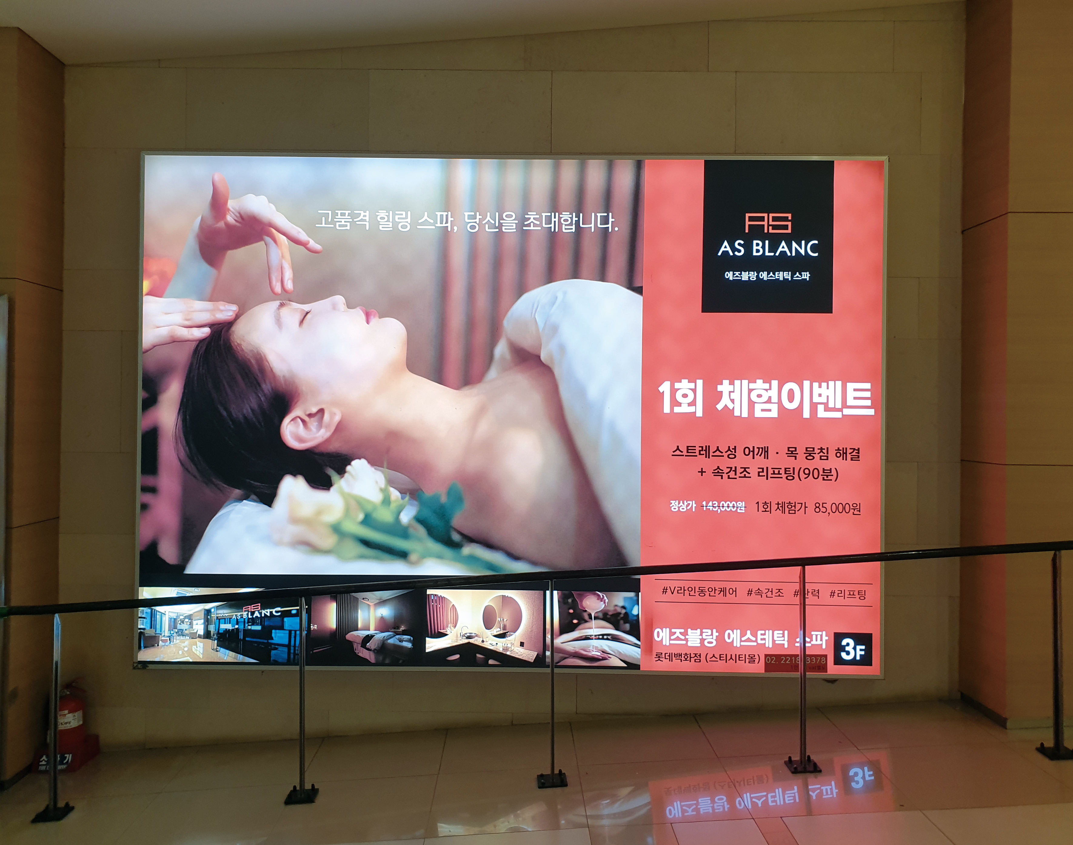에즈블랑 (플렉스 천갈이)